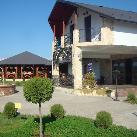 Pension La Taticu Sacalaseni Екстер'єр фото