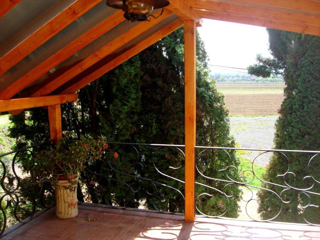 Pension La Taticu Sacalaseni Номер фото